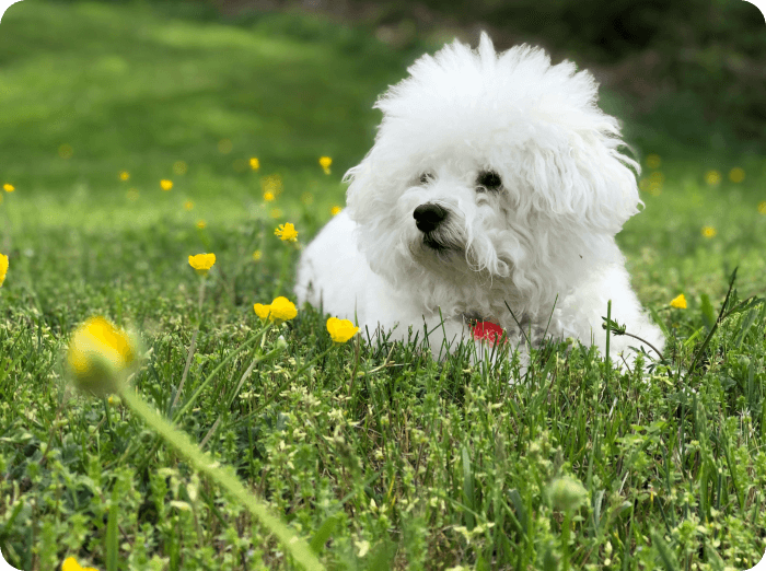 Seasonal allergies are unavoidable