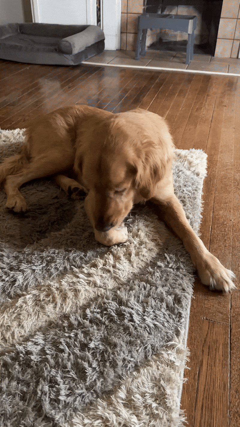 Allergy Symptoms Begin