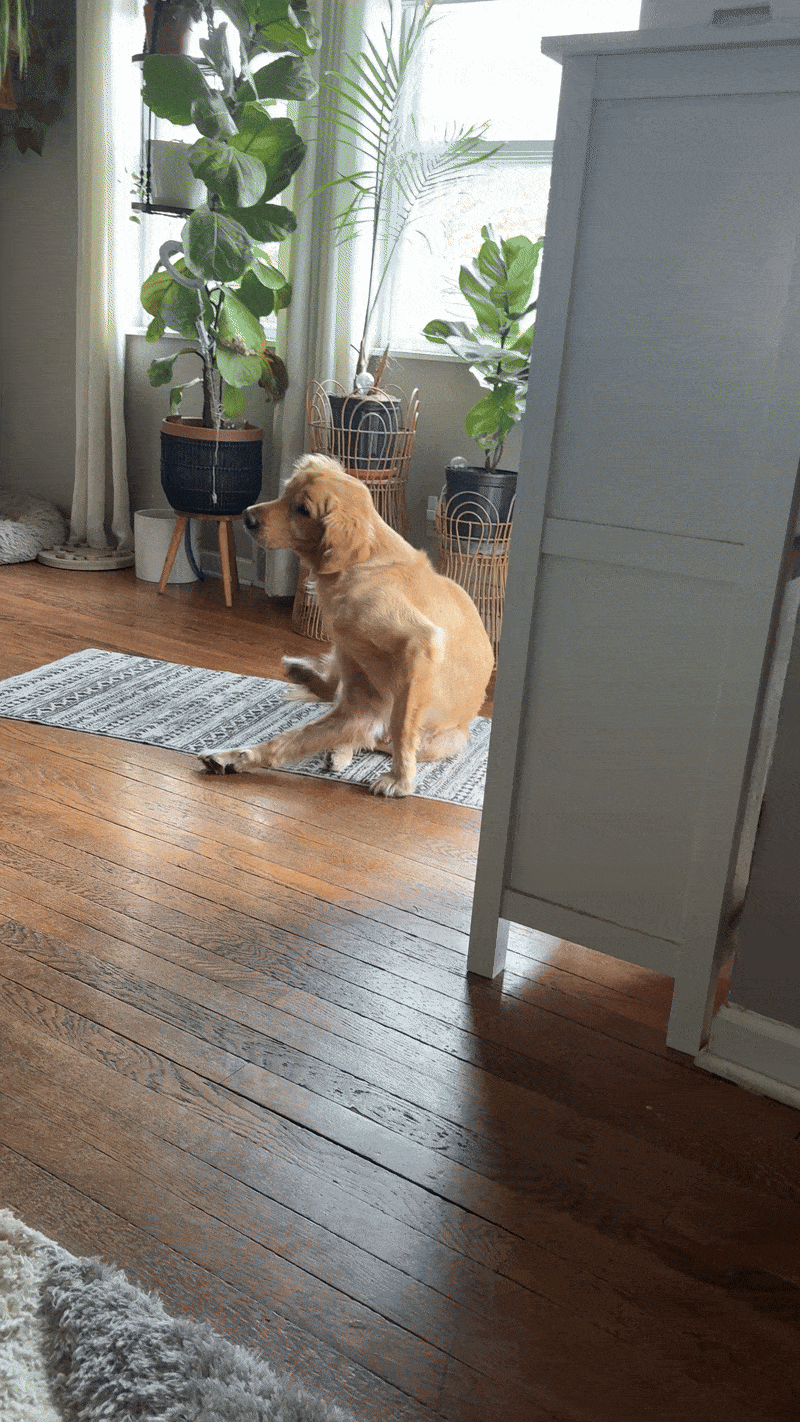 Allergy Symptoms Progress