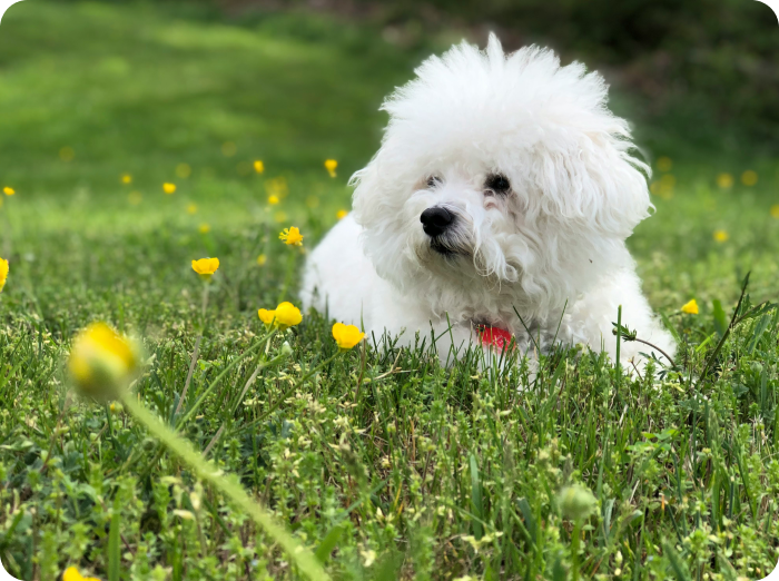 Seasonal allergies are unavoidable